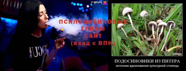 mix Алексин