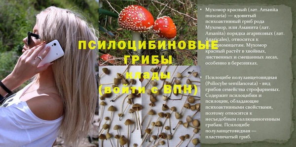 гидропоника Арсеньев