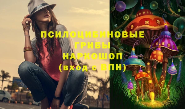 дмт Аркадак