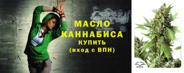 дмт Аркадак