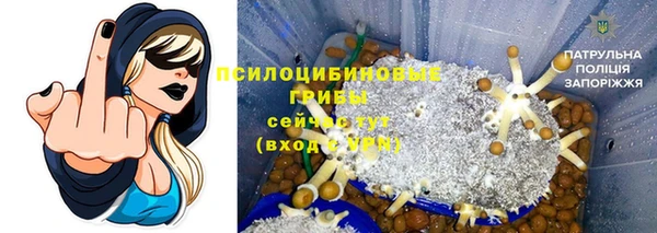 ПСИЛОЦИБИНОВЫЕ ГРИБЫ Абинск