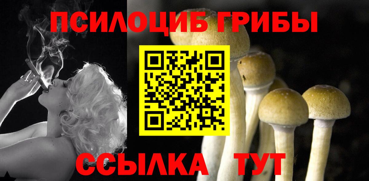 Галлюциногенные грибы GOLDEN TEACHER Сочи